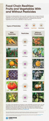 Food Chain Realities Protecting Quality infographic